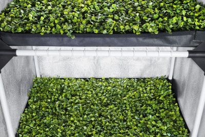 propagator-l-gidroponoff.ru-12 PROBOX PROPAGATOR L (60*40*200 CM)