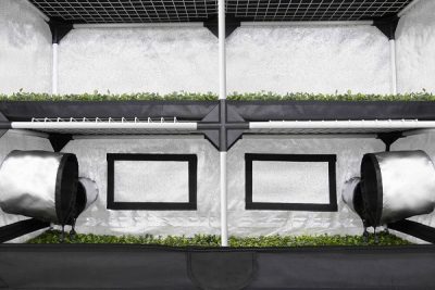 propagator-xl-gidroponoff.ru-9 PROBOX PROPAGATOR XL (120*40*200 CM)