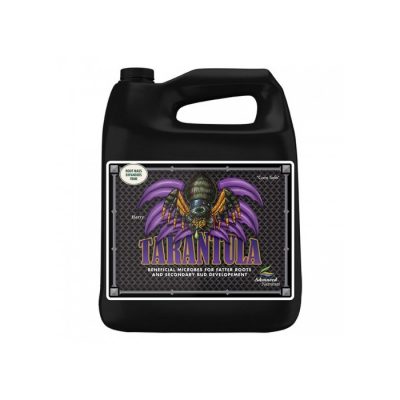 Tarant4-500x500 Tarantula (4л)