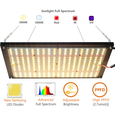 11_6aa43b91-aad4-4e0a-b114-716ea279b241_1001x Quantum Board Samsung LM281 (100W)