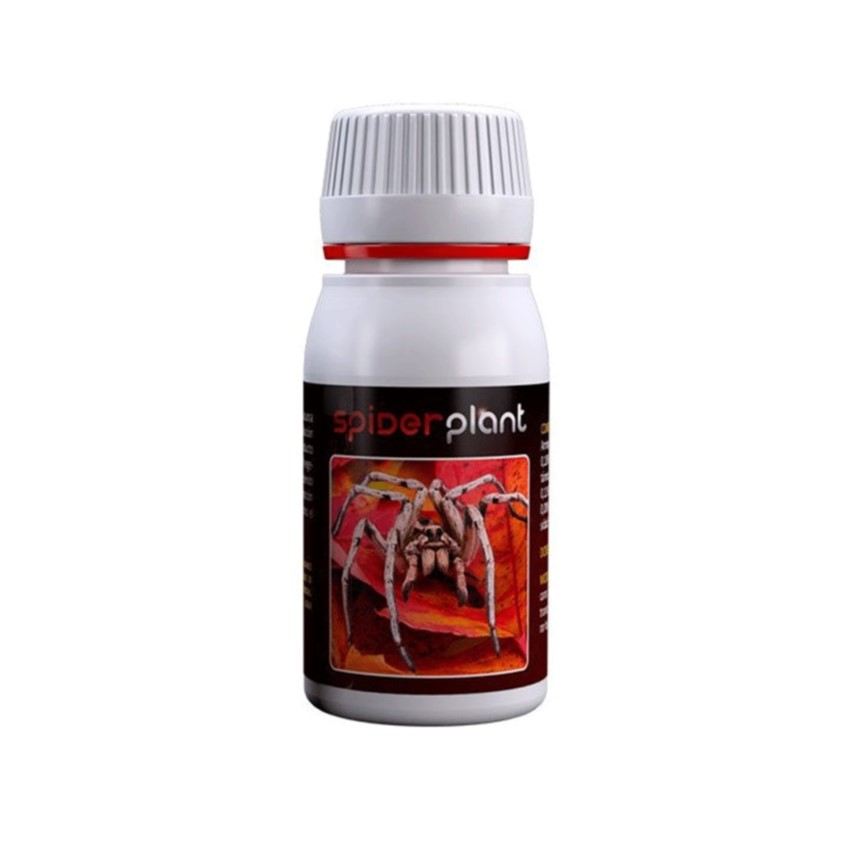 product_10725 SPIDER PLANT (60мл)